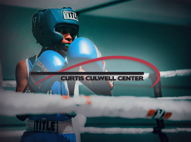 A boxer in the ring raises their fists, prepared to strike.